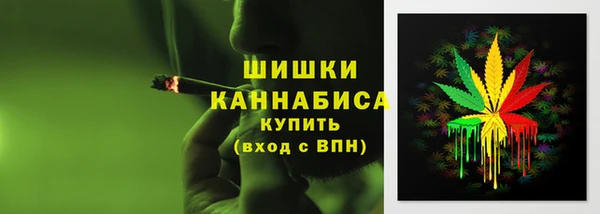 spice Балахна