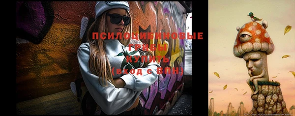 гидропоника Армянск